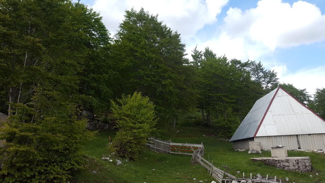Hawkeye Villa Zabljak  Exterior photo